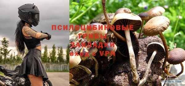круглые Алексеевка