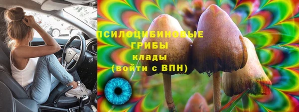 круглые Алексеевка
