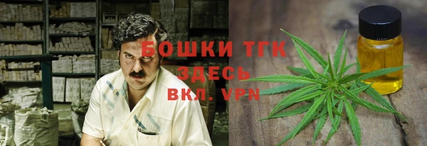 гидропоника Алзамай