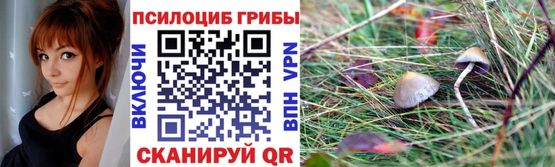 Галлюциногенные грибы Psilocybine cubensis закладки Ржев