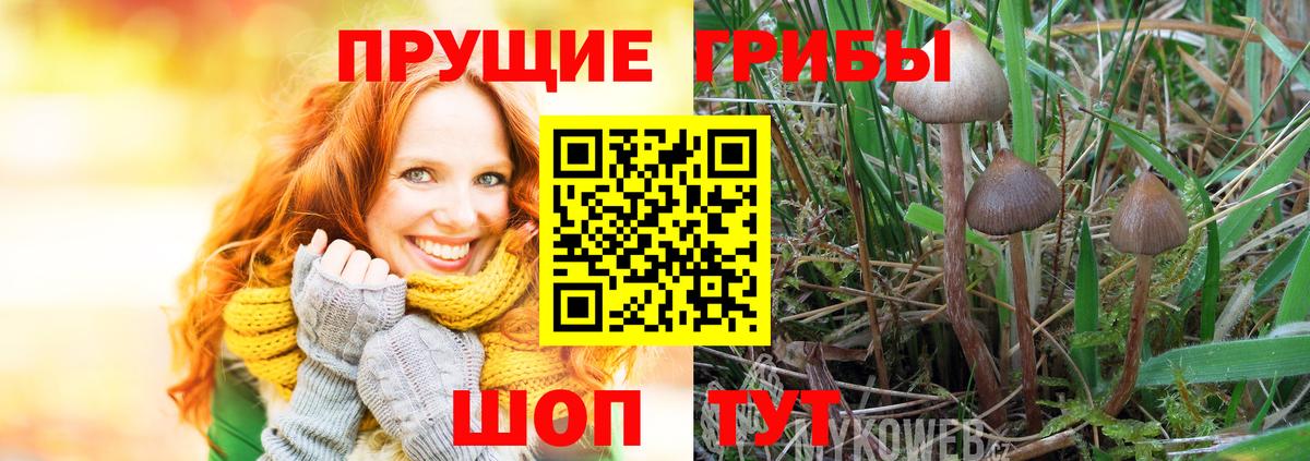 Галлюциногенные грибы ЛСД  Вход с VPN  Ржев 