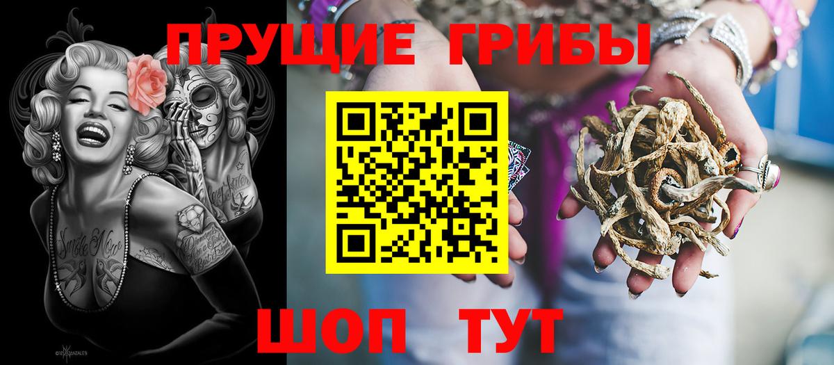 Галлюциногенные грибы прущие грибы Ржев